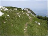 Najberž - Wackendorfer Spitze